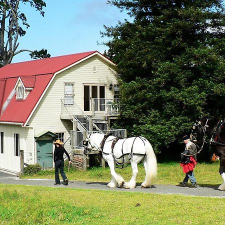 The Carriage House-Bay Of Islands Villa Kerikeri Dış mekan fotoğraf